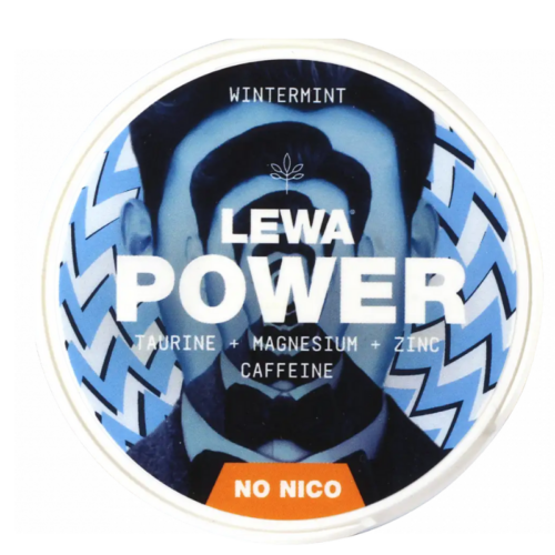 LEWA POWER – Wintermint 50 mg